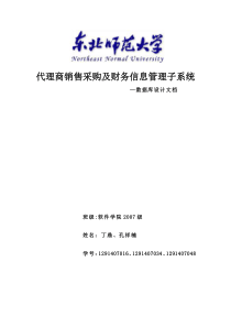 代理商销售采购及财务信息管理子系统—数据库设计文档