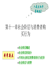 消费者行为学第十一章社会阶层与消费者购买行为new