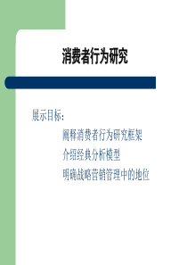 消费者行为研究(3)