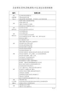 企业领导管理营销销售中层基层该看的视频