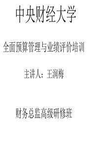 全面预算管理与业绩评价培训