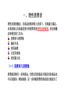 理性消费者（PDF32页）