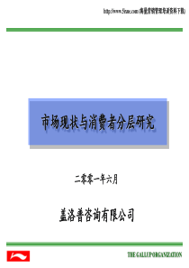 盖洛普《北京李宁体育用品有限公司---市场现状与消费者分层研究(1)