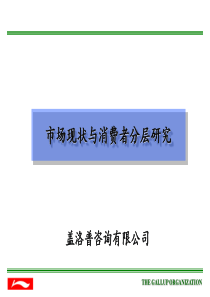 盖洛普《北京李宁体育用品有限公司市场现状与消费者分层研究