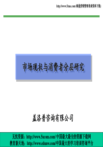 盖洛普市场现状与消费者分层研究