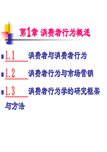 第1章消费者行为概述