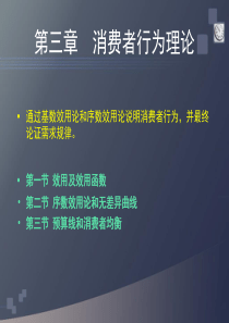 第三章、消费者行为理论