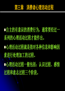 第三讲 消费者心理活动过程