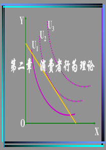 第二章消费者行为分析