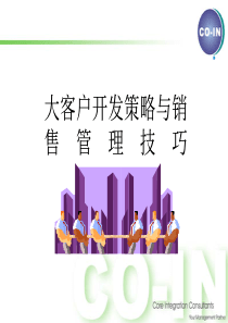 大客户开发策略与销售管理技巧(final)