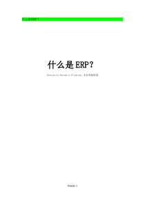 什么是ERP