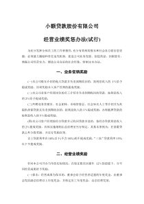 小额贷款公司业绩奖惩办法