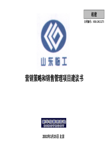 山东某大型公司营销策略和销售管理项目规划框架