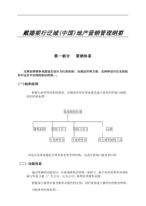 戴德梁行泛城(中国)地产营销管理纲要