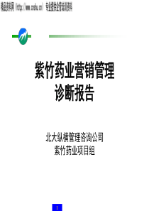 某某药业营销管理诊断报告（PPT122页）