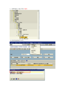 SQ01 SAP Query 使用说明