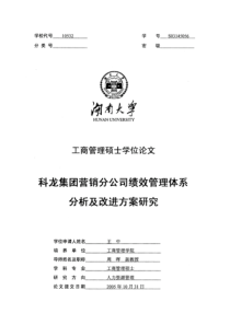 科龙集团营销分公司绩效管理体系分析及改进方案研究