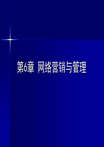 第5章网络营销与管理11