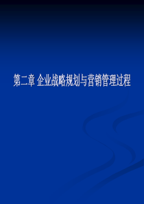 第二章企业战略规划与营销管理过程