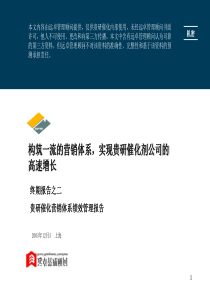 终期报告二：营销绩效管理报告