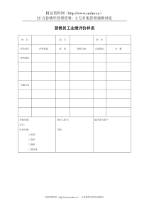 营销员工业绩评价样表