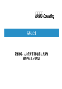 营销战略、人力资源管理和信息技术规划前期项目组人员