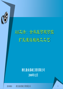 AM工法扩孔灌注桩及HPE插入法施工工艺(1)