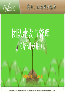 销售团队建设与管理-细节