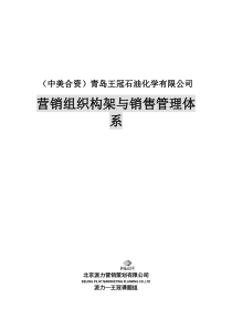 青岛王冠石油化学有限公司营销组织构架与销售管理体系