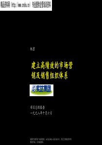 麦肯锡—实达建立高绩效的市场营销及销售管理体系咨询报告(1)