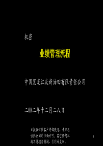 麦肯锡—黑龙江庆新油田业绩管理报告