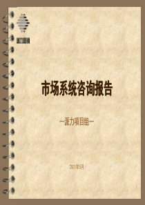 74派力营销报告