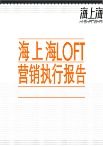 LOFT营销执行报告