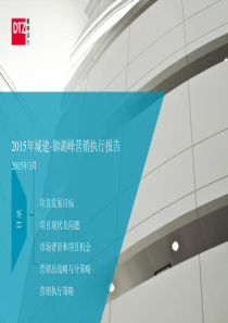 XXXX年戴德梁行深圳城建御湖峰营销执行报告