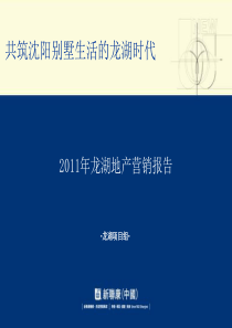 XXXX新联康沈阳龙湖地产营销报告