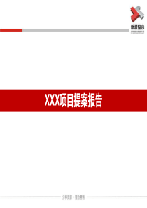 XXX项目营销报告