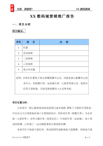 XX数码城营销推广报告(1)