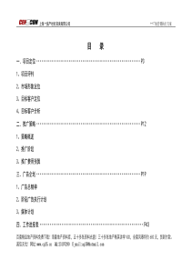 上海xxxx盘营销执行方案（案例）