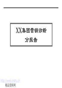 XX集团营销诊断分报告(1)