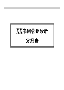 XX集团营销诊断分报告