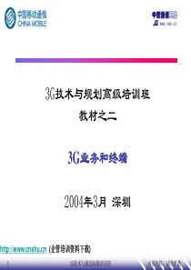 3G技术与规划高级培训班-3G业务和终端