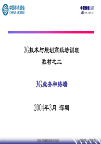 3G技术与规划高级培训班：3G业务和终端