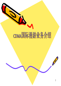 CDMA国际漫游业务介