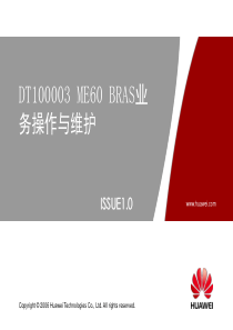 DT100003ME60BRAS业务操作与维护ISSUE10