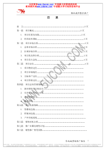 华南城营销推广报告