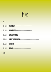 合肥滨湖惠园营销推广提案报告_63PPT