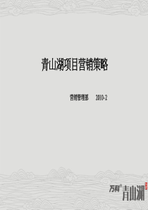 南昌万科青山湖项目营销报告04377153