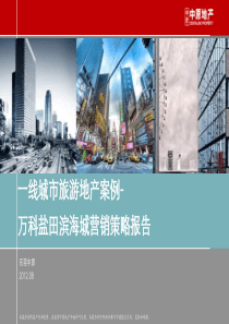 深圳旅游地产案例万科盐田滨海城营销报告