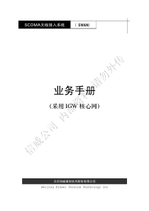 SCDMA无线接入系统(采用IGW核心网)业务说明