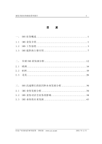 SMS业务市场发展报告（推荐PPT58）